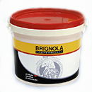 Pittura acrilica